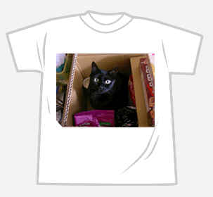 黒猫こまる（1）