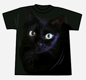 黒猫こまる（2）