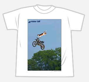 Extream Cat（モトクロス）