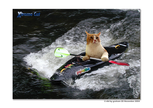 Extream Cat（カヌー）