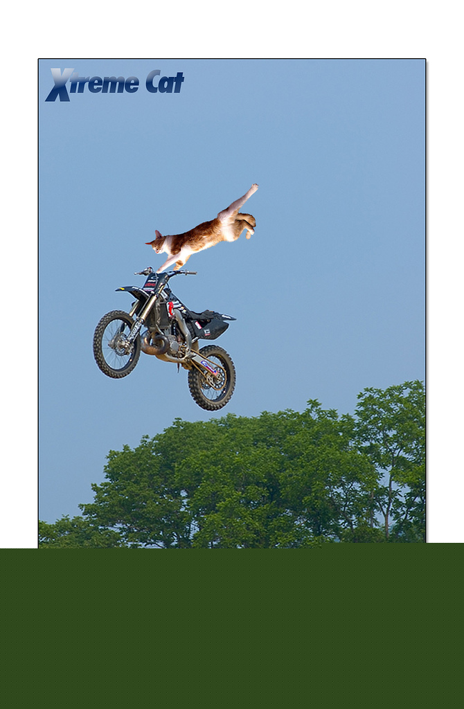 Extream Cat（モトクロス）