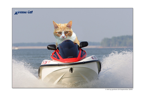 【2】送料無料・バーチャル商品